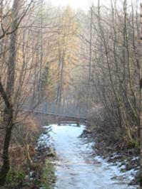 2 Hängeseilbrücke Hohe Schrecke Januar 2026.JPG