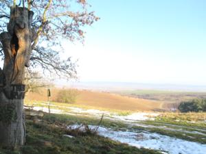 2 Unstrutblick Hohe Schrecke Januar 2026.JPG