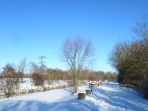 6 Sömmerda Januar 2026.JPG