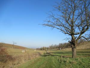 Hohe Schrecke Bärental Januar 2026.JPG