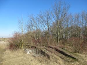 4 Napoleonpfad_Windknollen Februar 2026.JPG