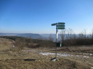 5 Napoleonpfad_Windknollen Februar 2026.JPG