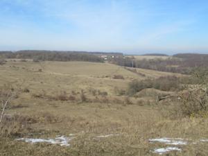 6 Napoleonpfad_Windknollen Februar 2026.JPG