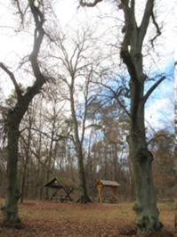 Heldrungen_NeunLinden 2.JPG