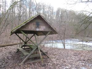 Heldrungen_Waldschlösschenteich 1.JPG