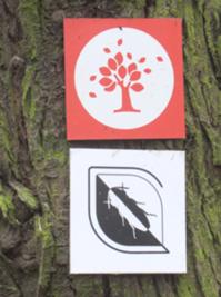 2 Langenroda März 2026.JPG