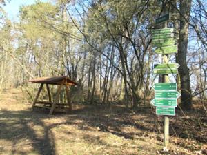 5 Harras Frühlingstour 2026 Limberleite.JPG