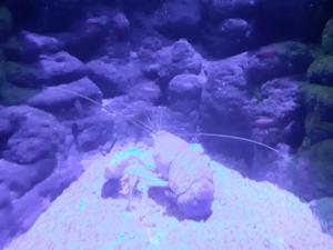 Cabrera_Museum 2.JPG