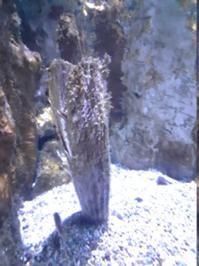 Cabrera_Museum 3.JPG