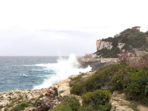 Cala Figuera 8.JPG