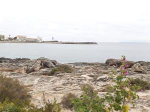 Colonia Sant Jordi 5.jpg