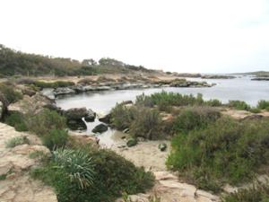 Colonia Sant Jordi 8.JPG