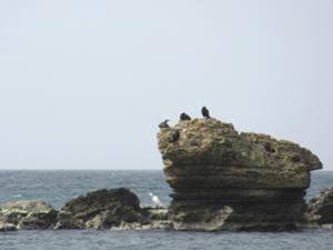 Insel vor Colonia Sant Jordi.JPG