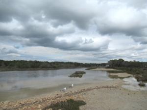 Südlicher Rand der Saline Es Trenc.JPG