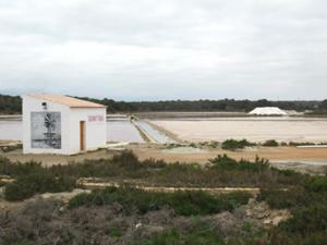 Saline Colonia Sant Jordi 1.JPG