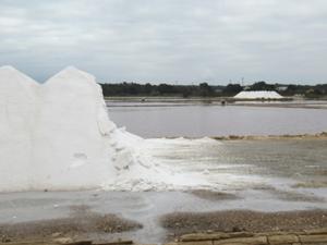 Saline Colonia Sant Jordi 2.JPG