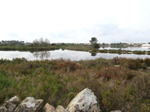 Saline Colonia Sant Jordi 3.JPG