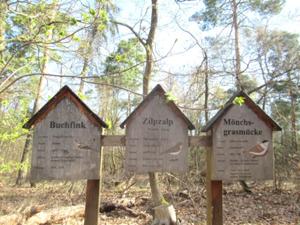 1 Schmücke bei Heldrungen April 2026.JPG