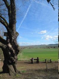 6 Schmücke bei Heldrungen April 2026.JPG