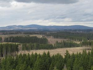 Ausblick vom Hexenbesen 2.JPG