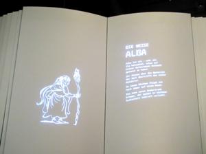 Ausstellung Hexenbesen1.JPG