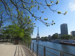 Cygnesinsel Paris 2026.JPG