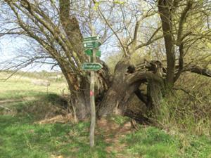 Enzianwiesenweg 2 April 2026.JPG