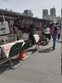 Händler an der Kathedrale Notre Dame Paris 2026.jpg