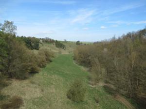 Hängeseilbrücke Hohe Schrecke 2 April 2026.JPG