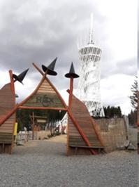 Hexenbesen Rothesütte 1.JPG