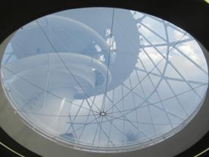 Hexenbesen Rothesütte 2.JPG