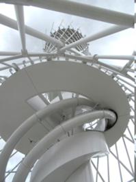 Hexenbesen Rothesütte 3.JPG