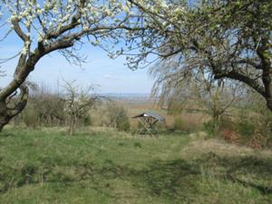 Rastplatz überm Unstruttal April 2026.JPG