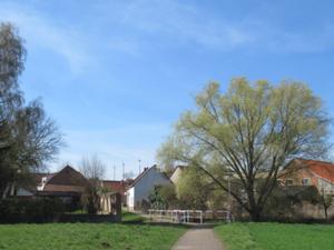 Reinsdorf bei Arterrn April 2026.JPG