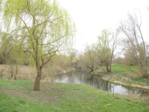 Unstrut Sömmerda April 2026.JPG