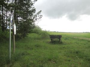 Böselsteinrundweg Bad Bibra Mai 2026.JPG