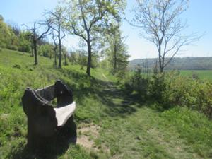 Finnberg 1 Mai 2026.JPG