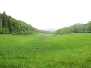 Hirschbachtal Finnberg Mitte Mai 2026.JPG