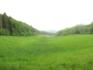 Hirschbachtal Finnberg Mitte Mai 2026.JPG