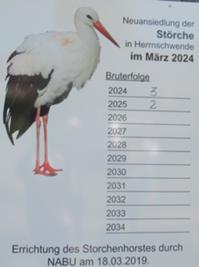 Storch Herrnschwende 1.JPG