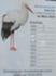 Storch Herrnschwende 1.JPG