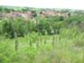 Vogelsberg Klausberg 7 Mai 2026.JPG