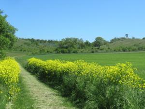 Wolfsberg Herrnschwende.JPG