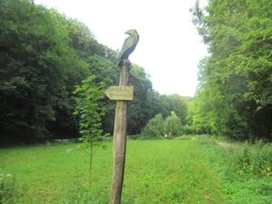Rabenswald Juni 2026 2.JPG