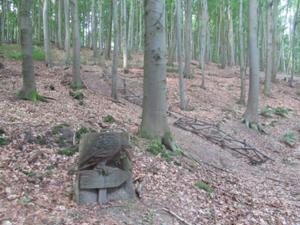 Rabenswald Juni 2026 3.JPG
