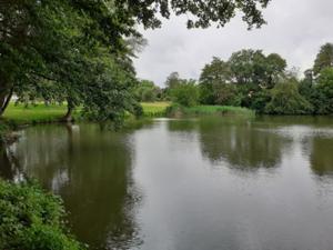 Wassermühle Krosigk 2.jpg