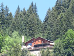 Adlerhorst Tannheimer Tal 1 Juli 2026.JPG