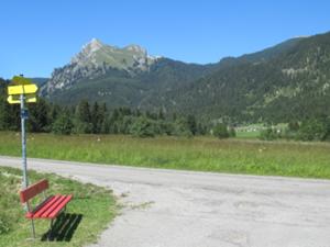 Aggenstein über Grän Tannheimer Tal  Juli 2026.jpg