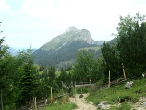 Gräner Höhenweg 2 Juli 2026Tannheimer Tal.JPG