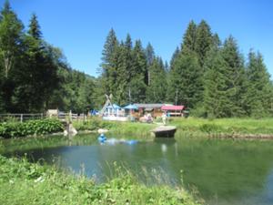 Greither Weiher Tannheimer Tal  Juli 2026.jpg